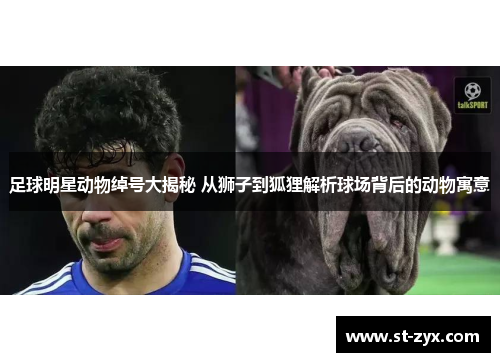 足球明星动物绰号大揭秘 从狮子到狐狸解析球场背后的动物寓意
