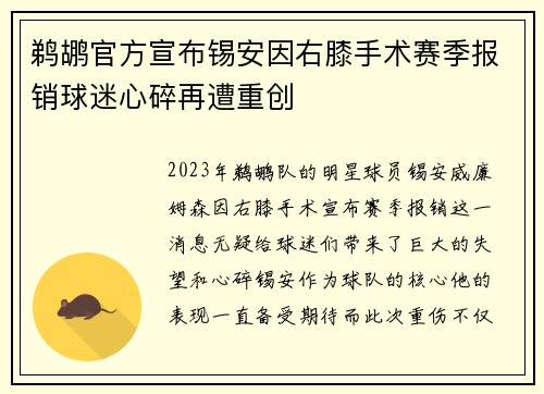 鹈鹕官方宣布锡安因右膝手术赛季报销球迷心碎再遭重创
