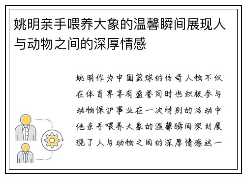 姚明亲手喂养大象的温馨瞬间展现人与动物之间的深厚情感