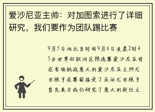 爱沙尼亚主帅：对加图索进行了详细研究，我们要作为团队踢比赛